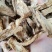 鲜葛根柴葛根大山葛根整个自己挖葛根片湿葛根批发