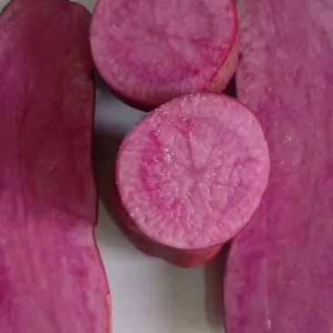 西瓜壤土豆西吉红壤土豆