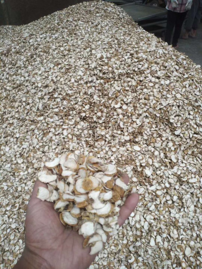 浙贝川贝平贝，选装小贝母物美价优！大货批发
