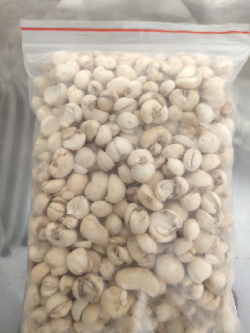 浙贝川贝平贝，选装小贝母物美价优！大货批发