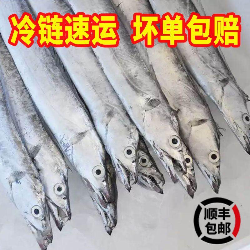 【超市品质】顺丰包邮5斤新鲜带鱼大段刀鱼整箱海鲜年货批发