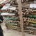 精品山药，白玉，西施，九斤黄，铁棍等，产地直销，欢迎订购