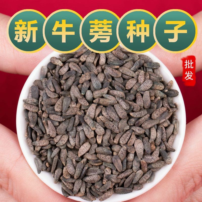 中药材牛蒡子种子纯新牛蒡大力子牛大力种子药材种子纯新货包