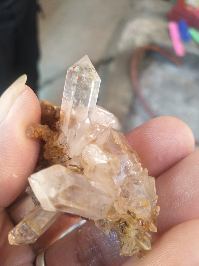 中国货，有需要的老板可以在一亩田上联系我
