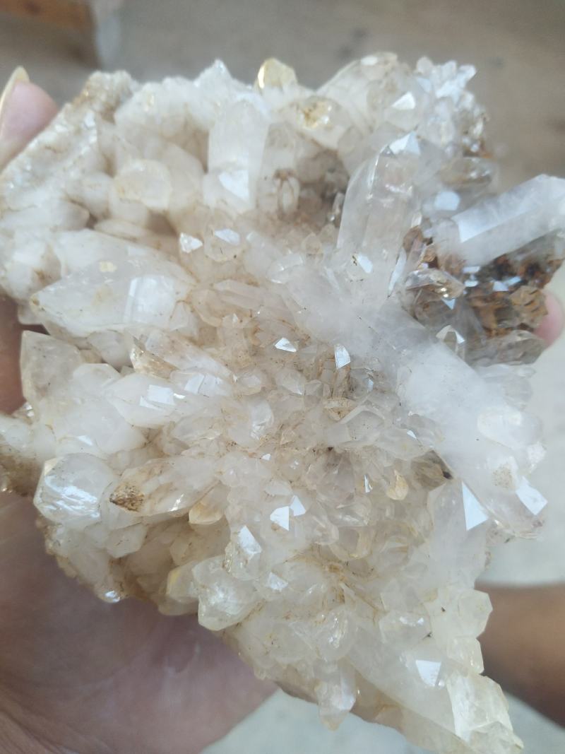 中国货，有需要的老板可以在一亩田上联系我