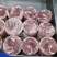 内蒙晶鑫羔羊肉卷纯羊肉打卷