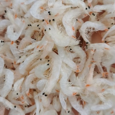 精品虾皮，无盐虾皮，补钙神器，无杂质，可即食