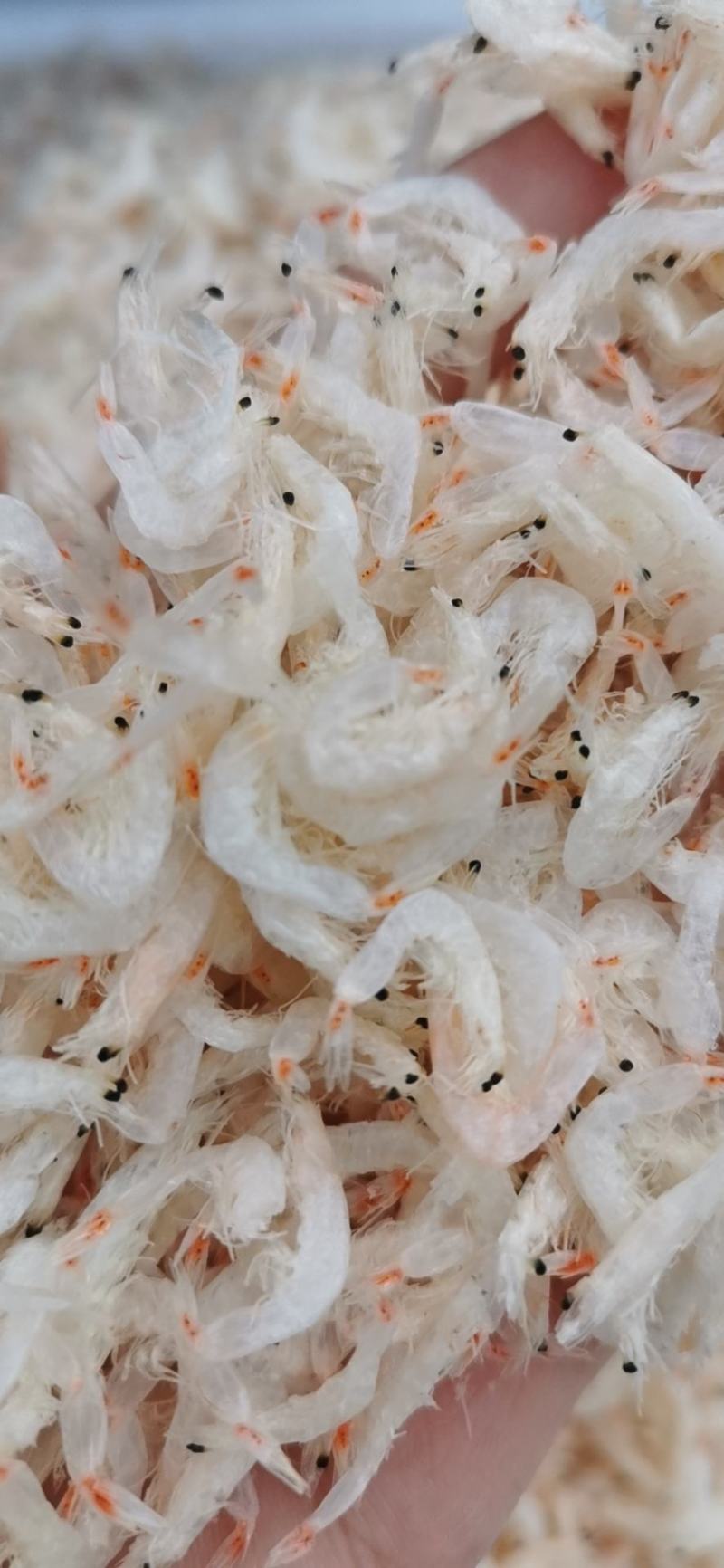 精品虾皮，无盐虾皮，补钙神器，无杂质，可即食
