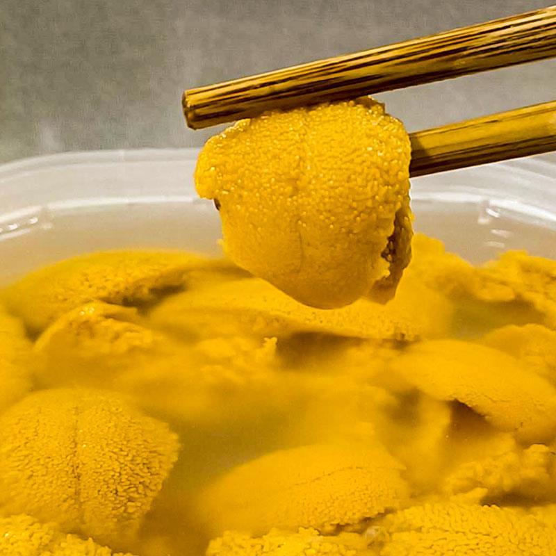 量大优惠大连海胆，活鲜即食海胆水袋1000g，欢迎批发