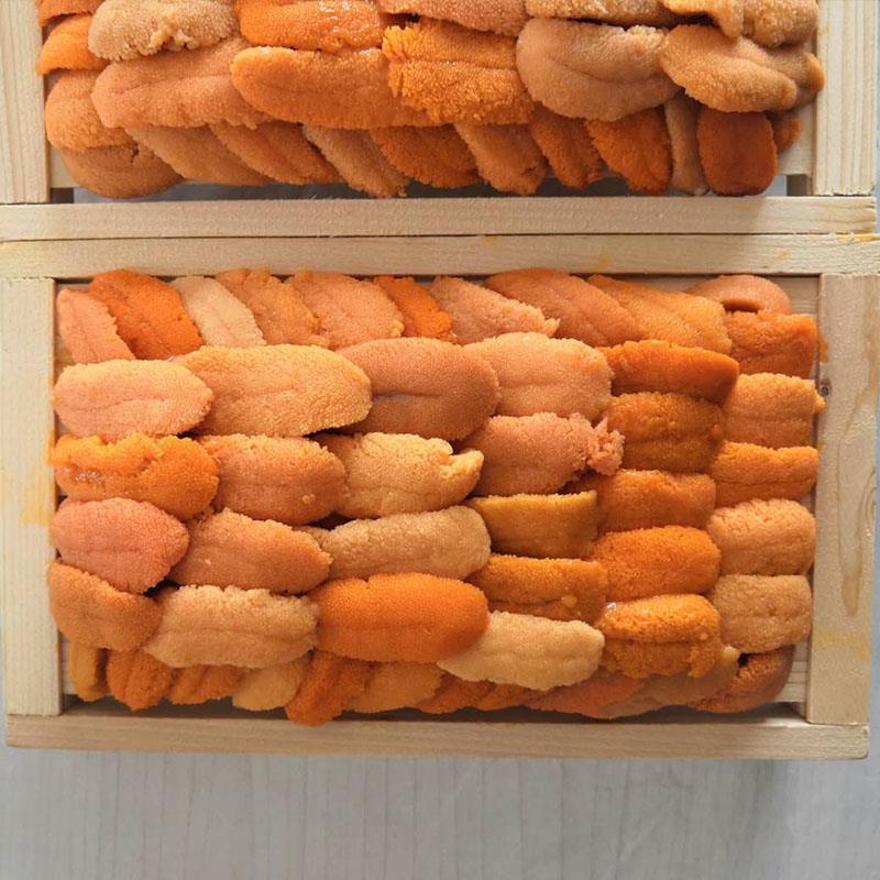 【量大优惠】大连250g活鲜海胆，木盒摆盘，批发日料刺身