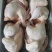 肉食白条鸡，量大可议价，一级货，全净膛，干货，(国产)