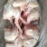 肉食白条鸡，量大可议价，一级货，全净膛，干货，(国产)