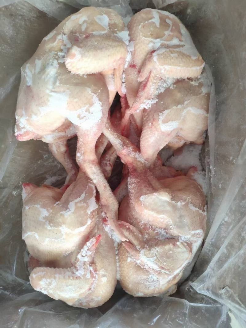 肉食白条鸡，量大可议价，一级货，全净膛，干货，(国产)