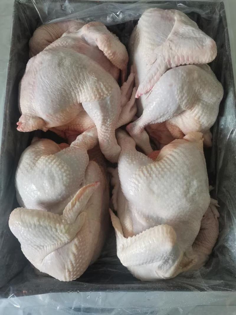肉食白条鸡，量大可议价，一级货，全净膛，干货，(国产)