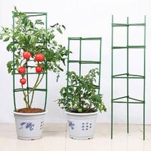 黄瓜架西红柿番茄攀爬支架爬藤植物支架茄子架豆角爬藤架支柱