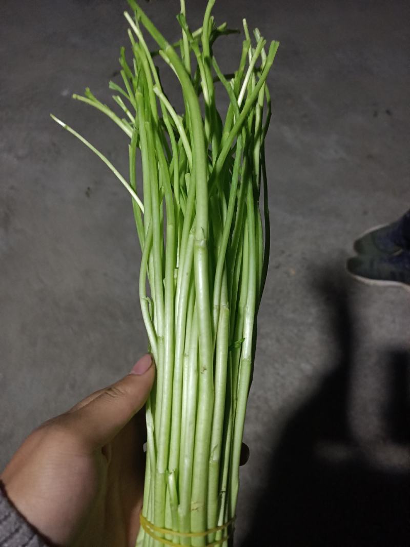 芦蒿，黎蒿，泥蒿，特色蔬菜，是养生等多功能佳肴