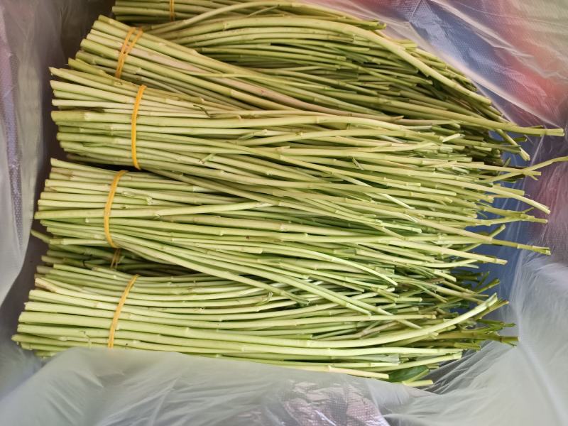 芦蒿，黎蒿，泥蒿，特色蔬菜，是养生等多功能佳肴