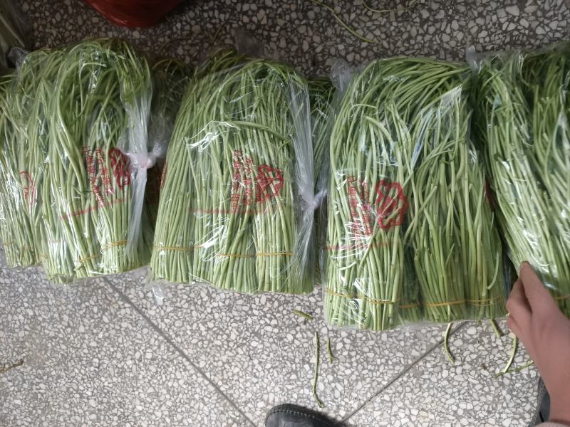 芦蒿，黎蒿，泥蒿，特色蔬菜，是养生等多功能佳肴