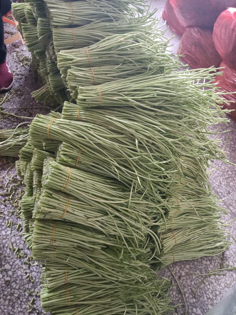 芦蒿，黎蒿，泥蒿，特色蔬菜，是养生等多功能佳肴