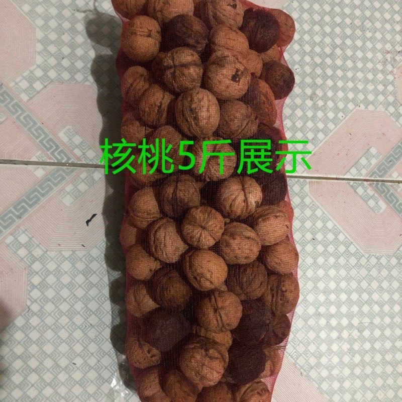 纱网袋水果地瓜土豆洋葱网袋板栗红薯网袋批发包邮