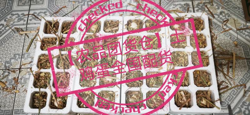 电商代发土鸡蛋全国代发规格10-40枚电商朋友随时联系现