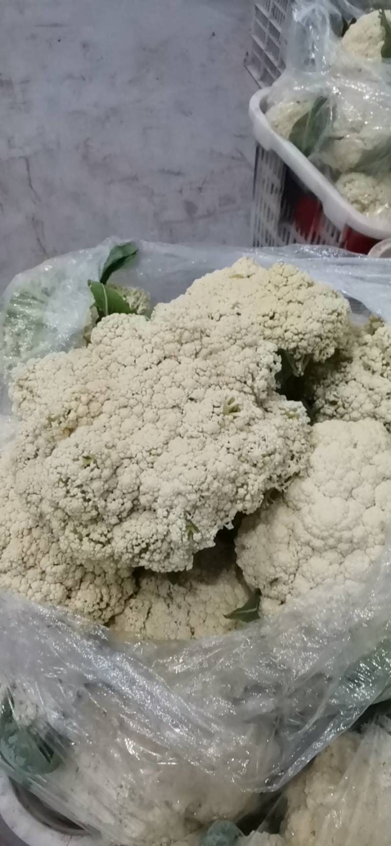 菜花精品西兰花，有机花菜，万亩基地，一手货源，质量保证。