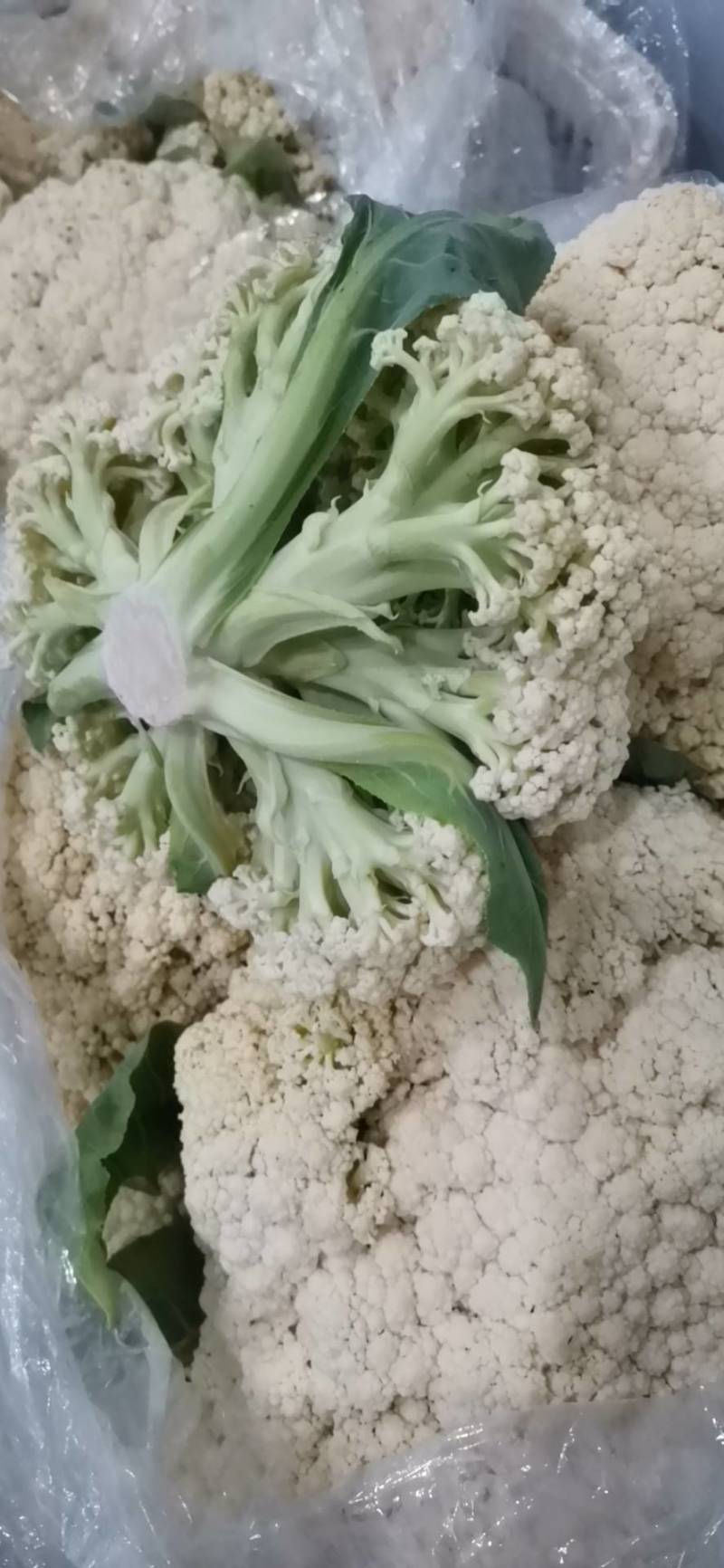 菜花精品西兰花，有机花菜，万亩基地，一手货源，质量保证。