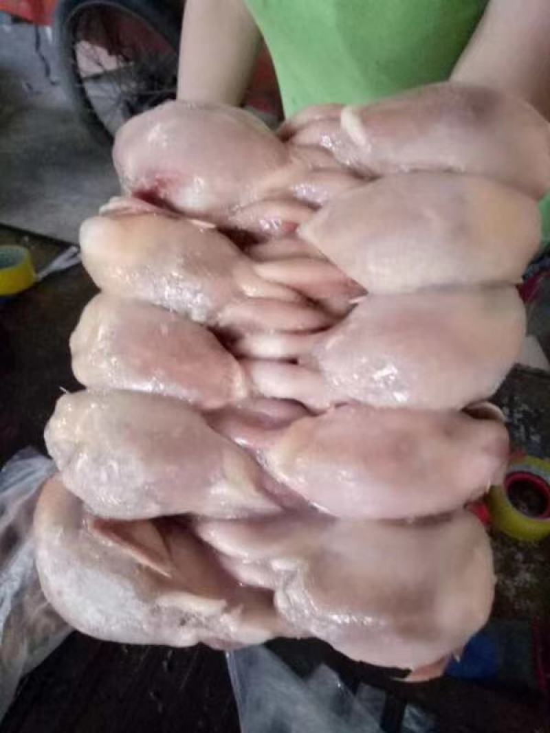 冻品鹌鹑，放血的不放血的，长期有货，价格美丽