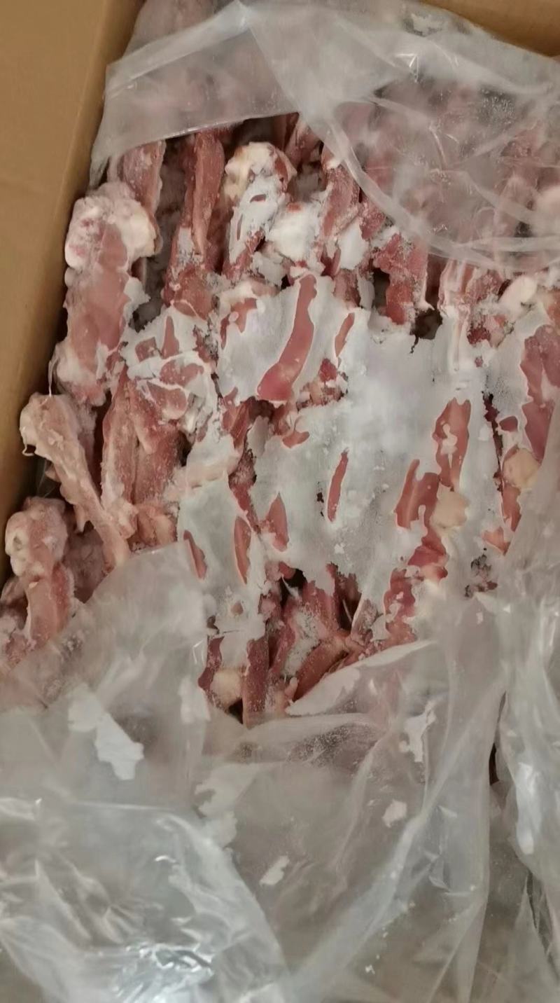 淘汰鹌鹑，冻品鹌鹑，烧烤专用，长期有货，价格美丽