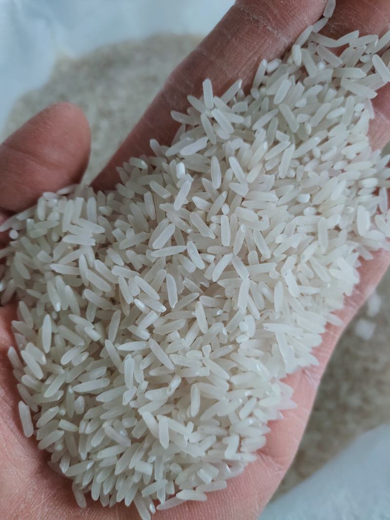 泰优390大米，厂家直销，米质细长香味浓郁，
