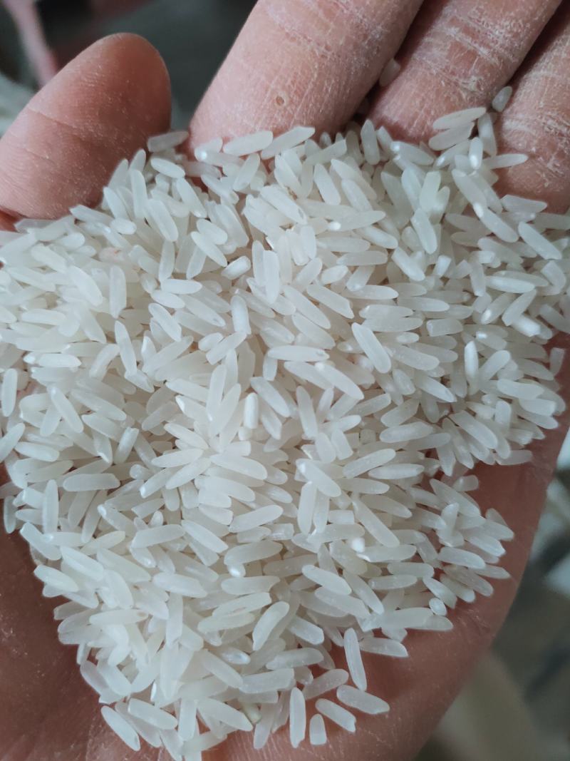 泰优390大米，厂家直销，米质细长香味浓郁，