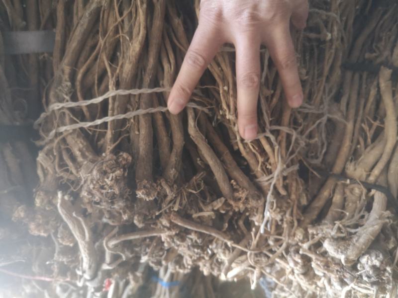 批发黄芪黄芪北芪原条非切片山黄芪野黄芪