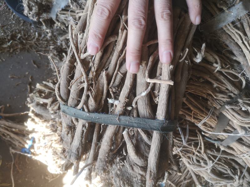 批发黄芪黄芪北芪原条非切片山黄芪野黄芪