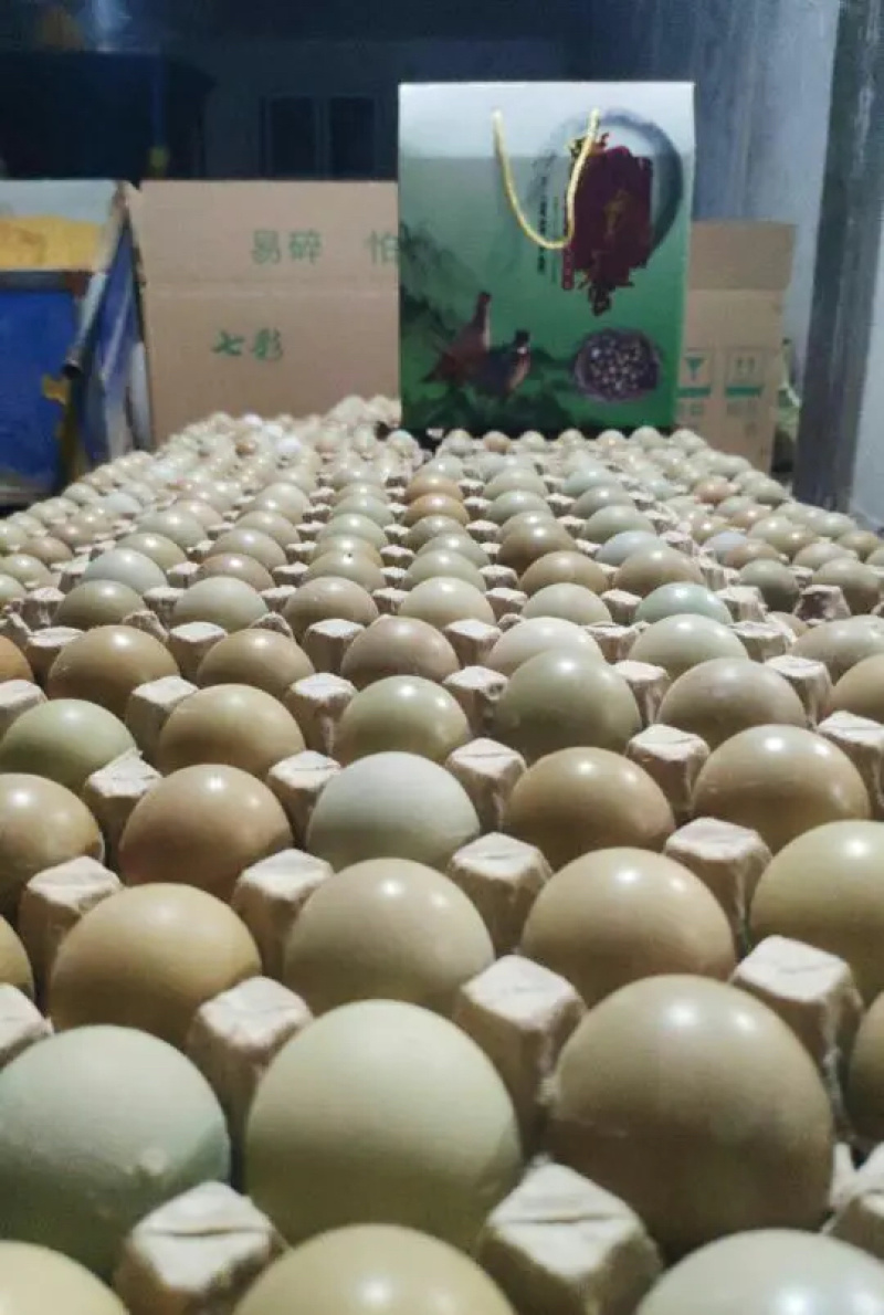 山东野鸡蛋一箱60和1008枚，欢迎选购，农户直发