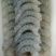 虾仁原料大虾仁青虾仁白虾仁新鲜厂家批发湛江