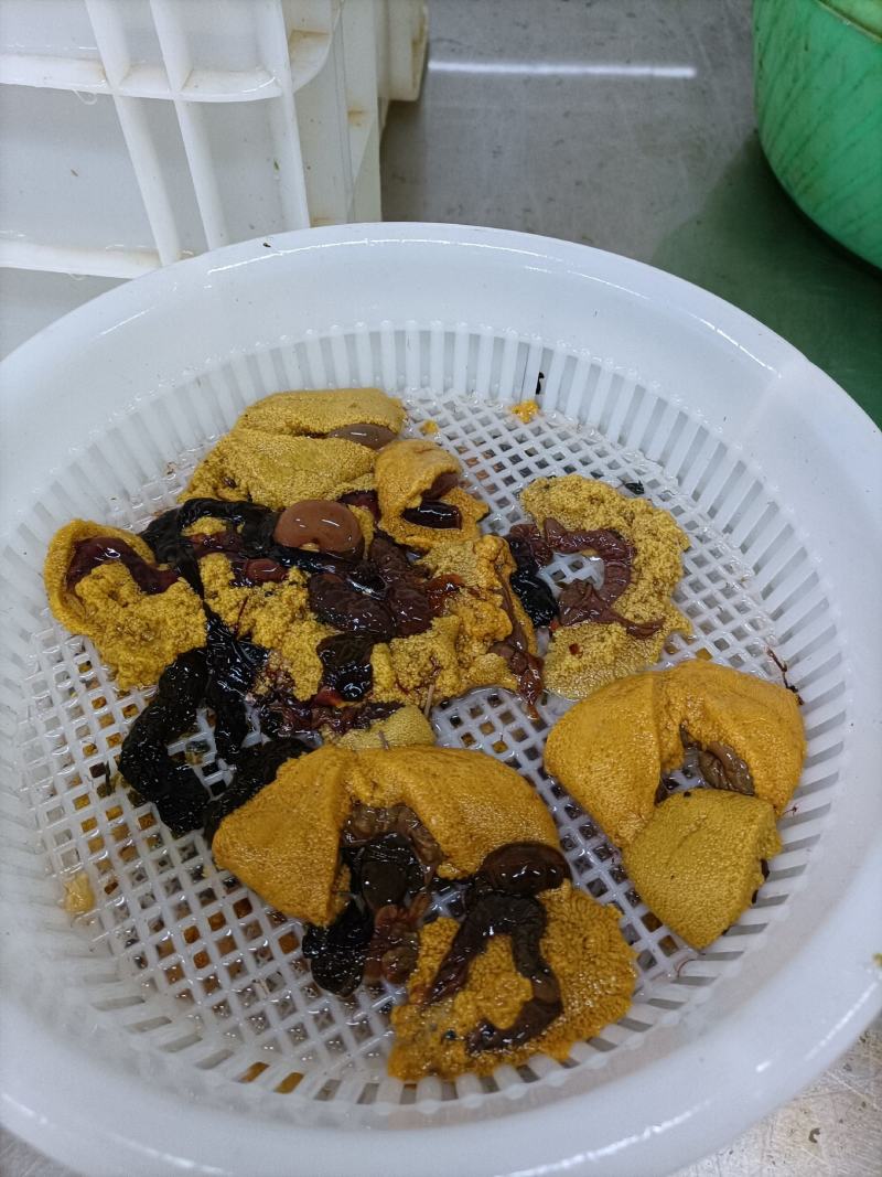 大连活鲜海胆，批发盒装100g，欢迎联系