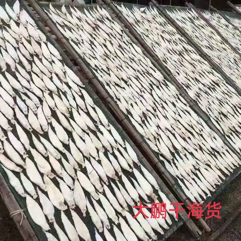 鳘鱼膘鳘鱼花胶大口赤嘴鳘鱼花胶常年供货