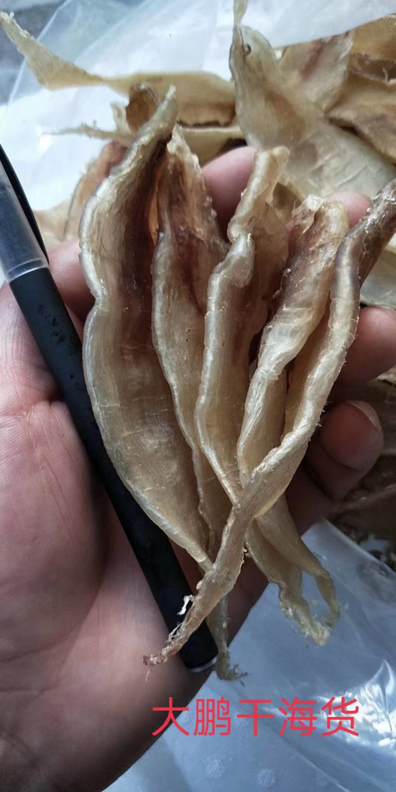 鳘鱼膘鳘鱼花胶大口赤嘴鳘鱼花胶常年供货