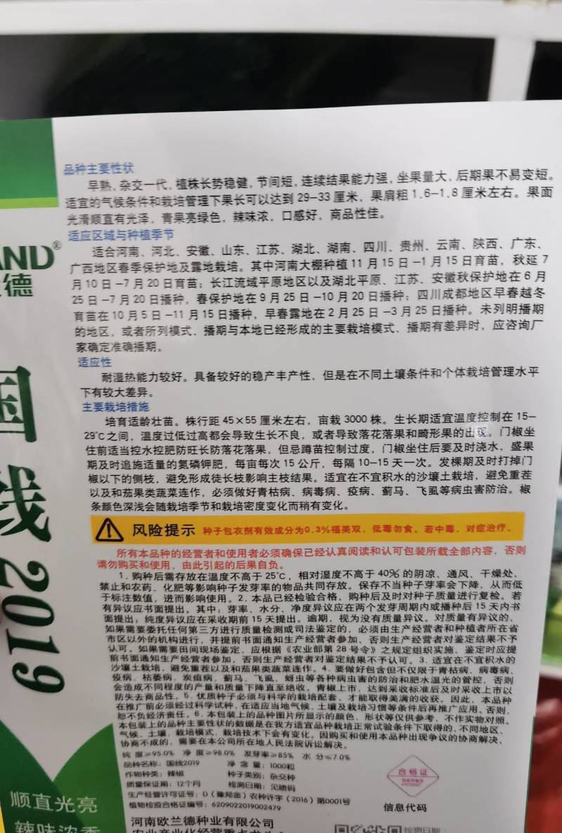 国线2019线椒种子加长型翠绿皮坐果量大条椒线椒辣种子
