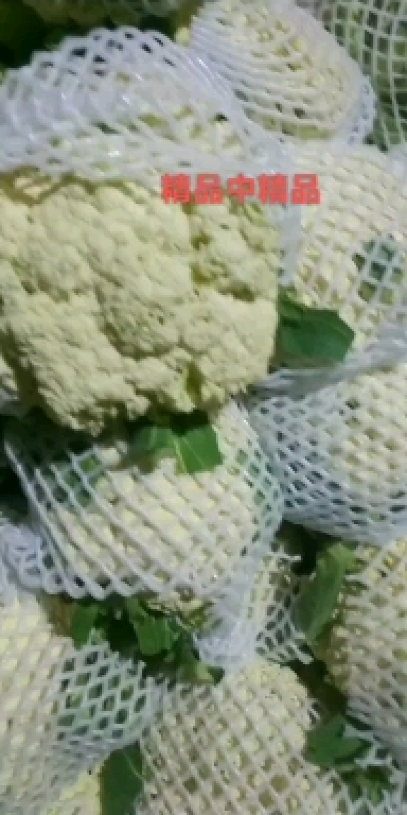 精品白面青梗有机花大量上市中。面白，梗青，有专业的包装团