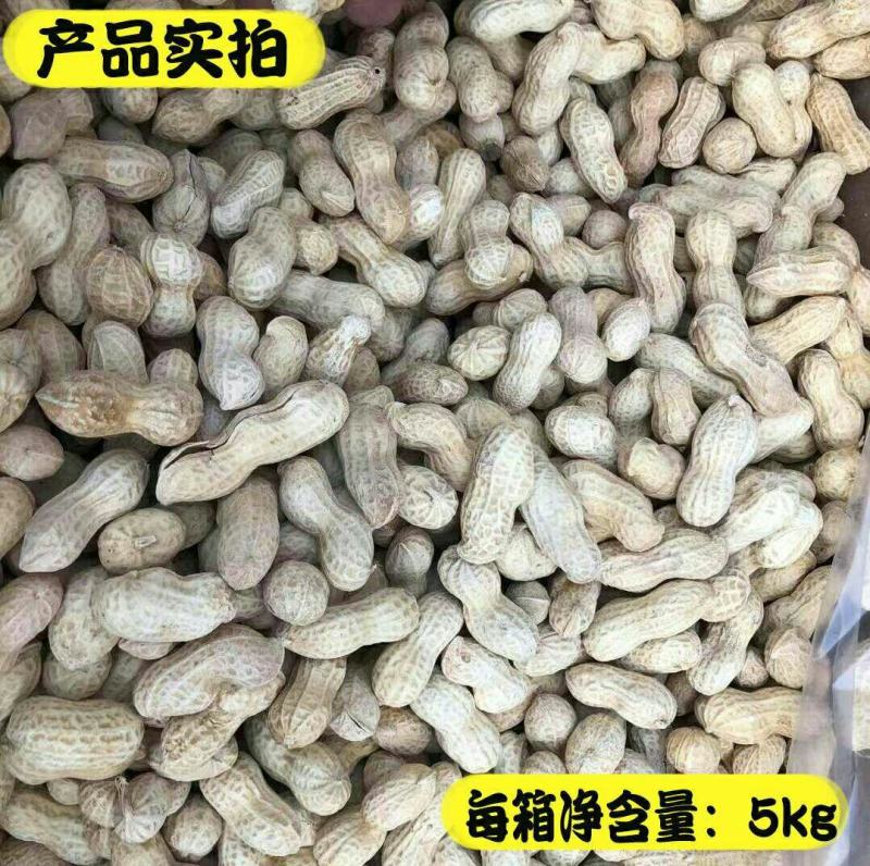 【陈皮花生】一箱10斤批发实惠价好吃不上火