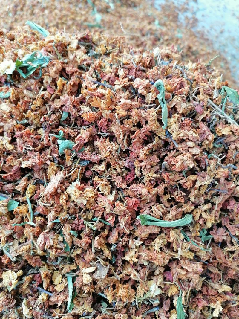 养肝茶，茉莉花，茶梗，甜叶菊，黄菊花，相思叶
