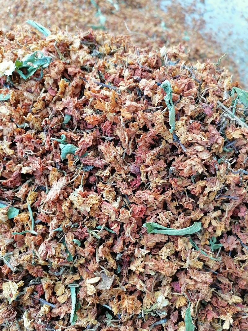 养肝茶，茉莉花，茶梗，甜叶菊，黄菊花，相思叶