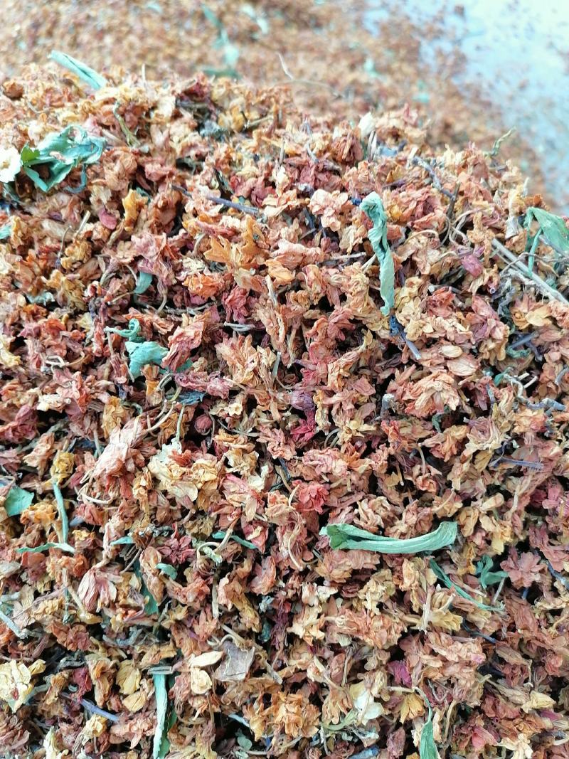 养肝茶，茉莉花，茶梗，甜叶菊，黄菊花，相思叶