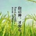 东北富硒大米，自产自销，一件代发