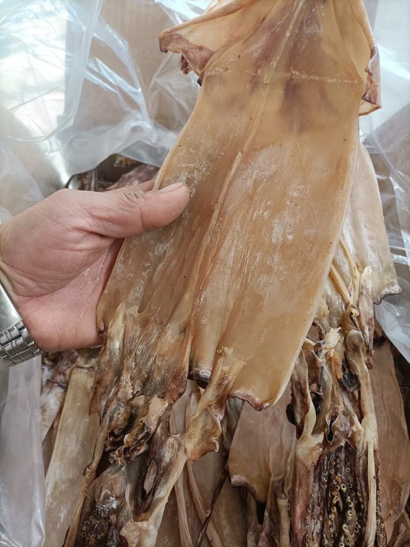 淡干鱿鱼鱿鱼干深海干鱿鱼干鱿鱼新货