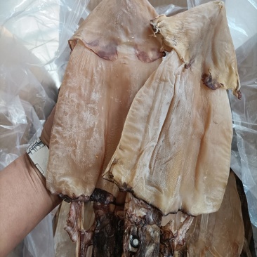 淡干鱿鱼鱿鱼干深海干鱿鱼干鱿鱼新货