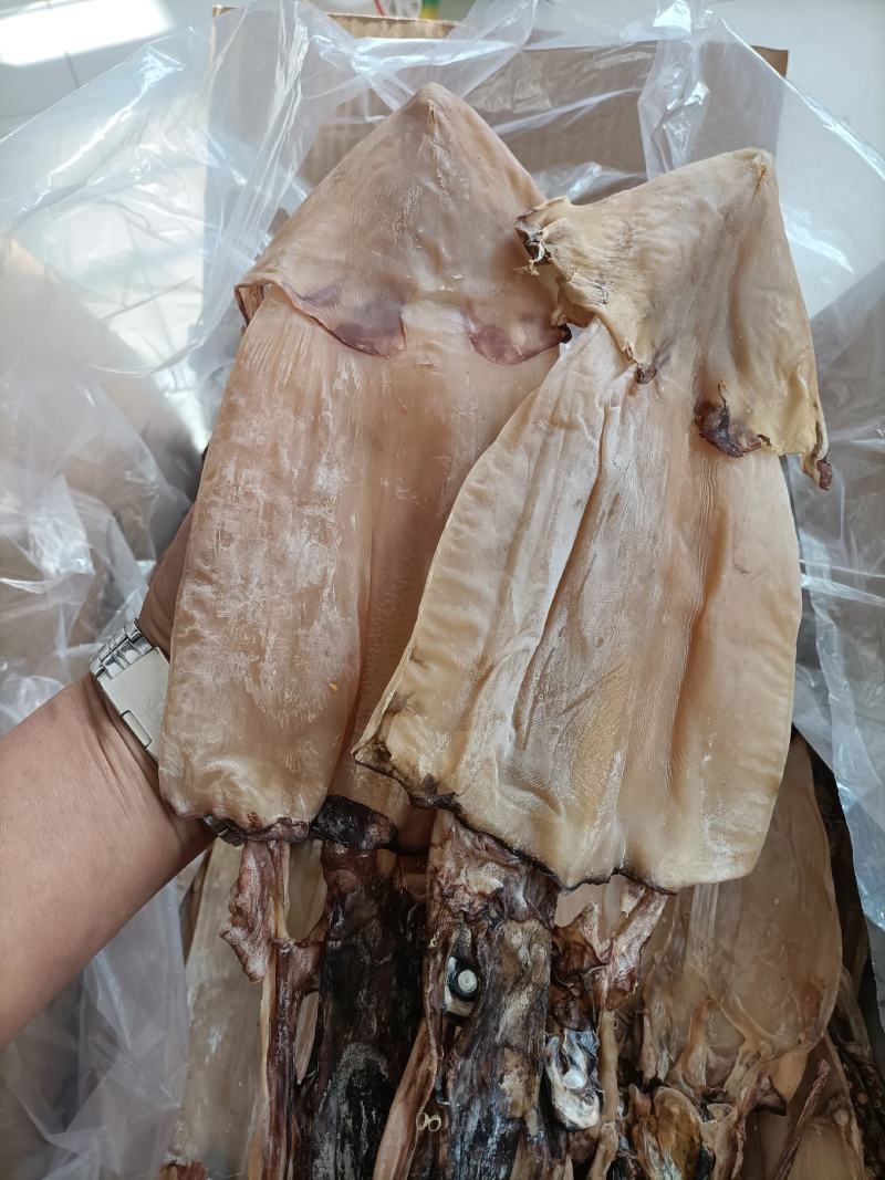 淡干鱿鱼鱿鱼干深海干鱿鱼干鱿鱼新货