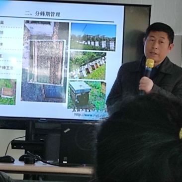 冯老师讲课养蜂技术学习