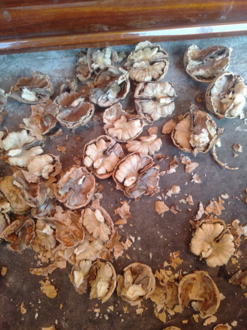 原产地直销，质量保证，价格合理，云南纸皮核桃，薄壳核桃
